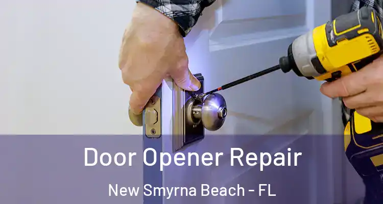  Door Opener Repair New Smyrna Beach - FL