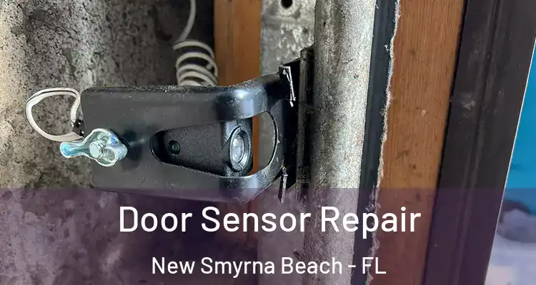  Door Sensor Repair New Smyrna Beach - FL