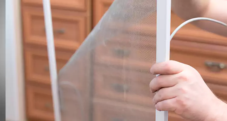 Privacy Mesh Screen Door Installation in New Smyrna Beach, FL